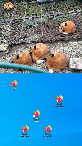 У А #4 4 a 7 $44 8 i 7 i ris wid 4 и, Wig OF 2 Firefox Firefox Сору Gopy Firefox Gopy Firefox Firefox GOpy