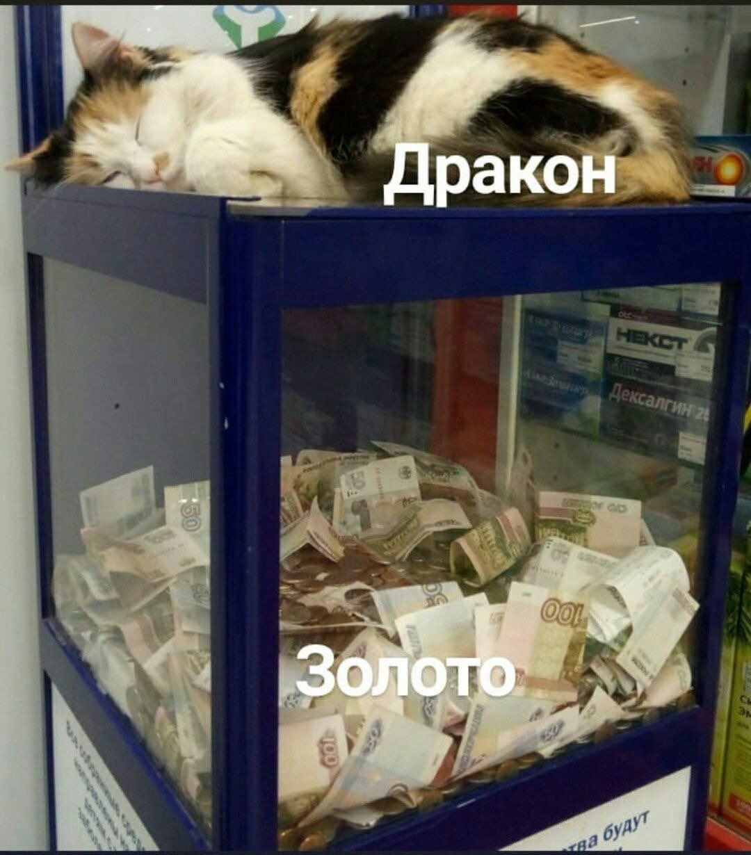 Дракон Золо