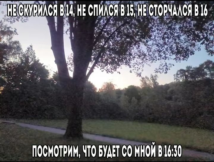 НЕСКУРИЛСЯ 8214, НЕСПИЛСЯ В 15 НЕСТОРЧАЛСЯ yay В В [i а у ПОСМОТРИМ, ЧТО БУДЕТ