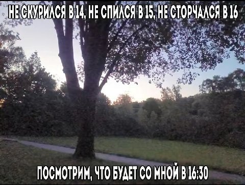 НЕСКУРИЛСЯ 8214, НЕСПИЛСЯ В 15 НЕСТОРЧАЛСЯ yay В В [i а у ПОСМОТРИМ, ЧТО БУДЕТ