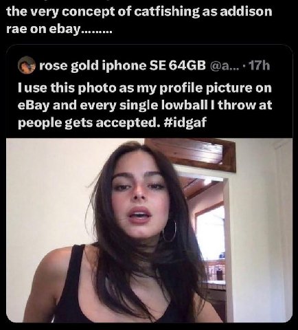very concept of catfishing as addison гае ебау rose gold iphone luse this photo as my profile picture on eBay and every single lowball I throw at people gets accepted.