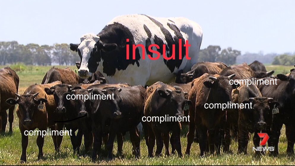 3 a ment 102 7 7 compliment compliment i i
