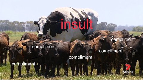 3 a ment 102 7 7 compliment compliment i i