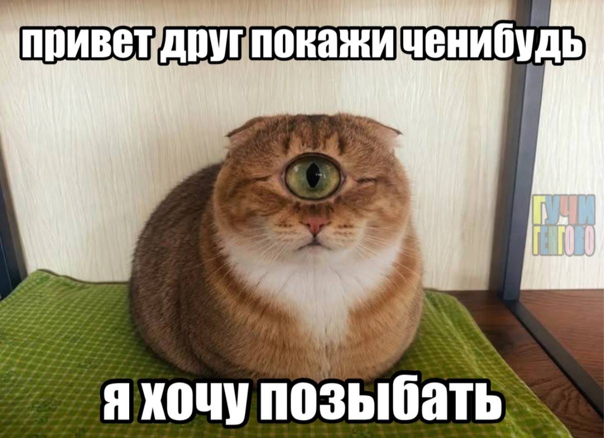 приветдруппокажичени я хочу позыбать