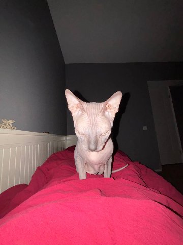 ОН ПРИШЕЛ. СИДЕТЬ.