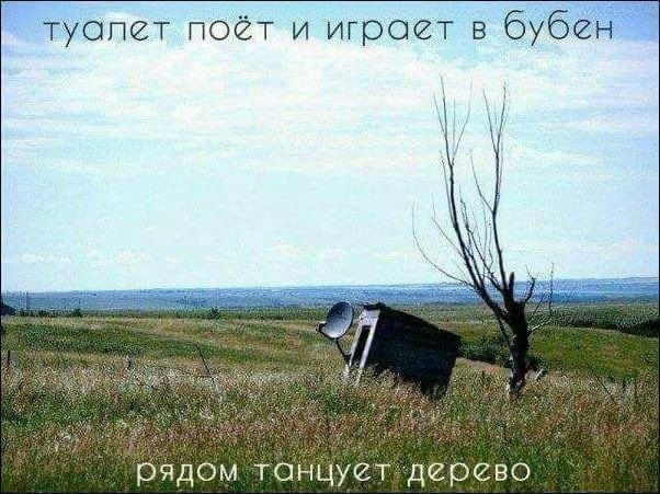 туалет поёт и играет в бубен of Age 7 Рядом танцует дерево