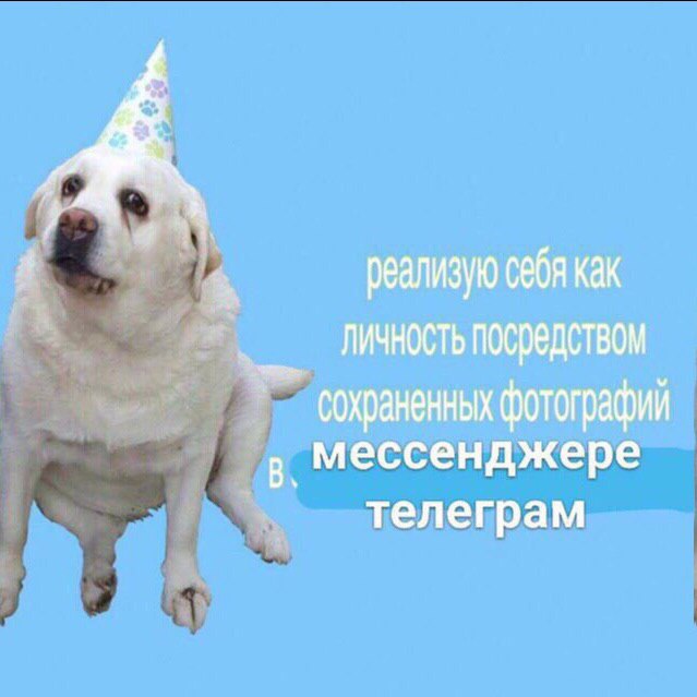 реализую себя как Личность посредством сохраненных фотографий В. мессенджере телеграм