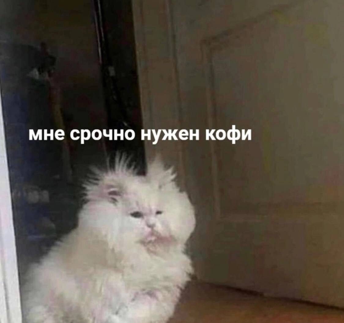 мне срочно нужен кофи