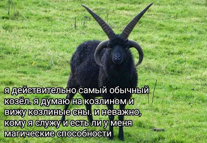 ний я ‘действителёно самый обычный козёл. A думаю на: KO3JIMHOM. вижу: сны. неважно, KOMY я. служу и есть ли у магические способности