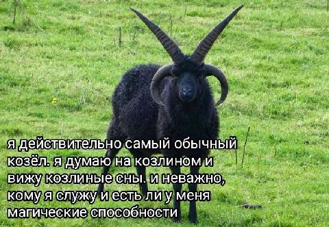 ний я ‘действителёно самый обычный козёл. A думаю на: KO3JIMHOM. вижу: сны. неважно, KOMY я. служу и есть ли у магические способности