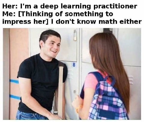 Her: a deep learning practitioner Me: [Thinking of something to impress her] don't know math either 8