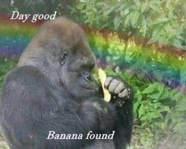 Day good Banana found