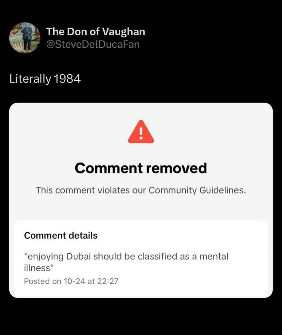 The Don of Vaughan Literally 1984 А Comment removed This comment violates our Community Guidelines. Comment details "enjoying Dubai should be classified as a mental illness" Posted on 10-24 at 22:27
