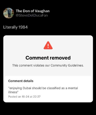 The Don of Vaughan Literally 1984 А Comment removed This comment violates our Community Guidelines. Comment details "enjoying Dubai should be classified as a mental illness" Posted on 10-24 at 22:27
