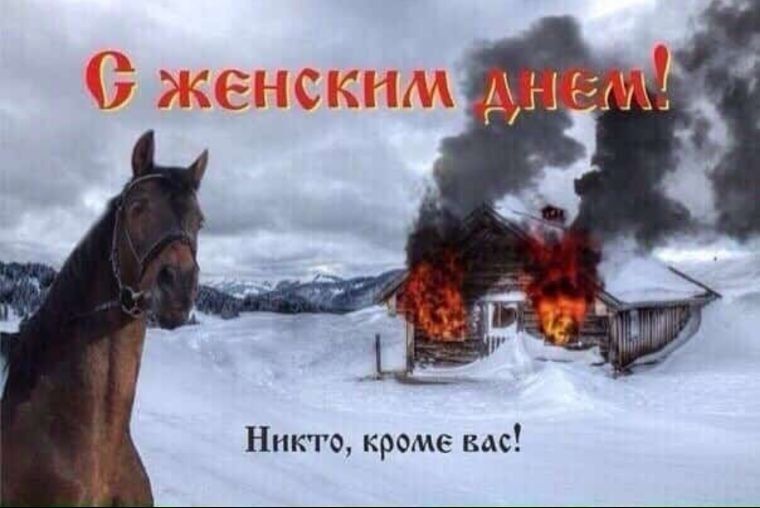 Никто, кроме Bac!