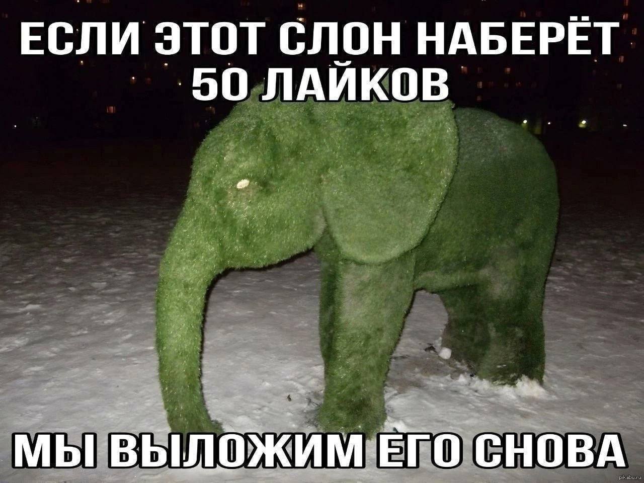ЕСЛИ ЭТОТ СЛОН НАБЕРЁТ ЛАЙКОВ МЫ ВЫЛОЖИМ ЕГО СНОВА