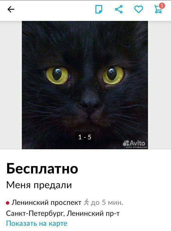 1-5 Бесплатно Меня предали Ленинский проспект до 5 мин. Санкт-Петербург, Ленинский пр-т Показать на карте