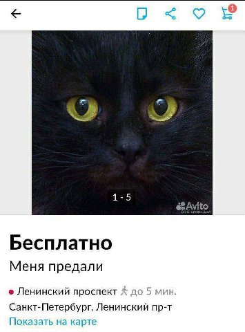 1-5 Бесплатно Меня предали Ленинский проспект до 5 мин. Санкт-Петербург, Ленинский пр-т Показать на карте
