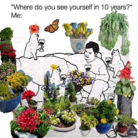"Where you see yourself in 10 years?" Me A] 4 у