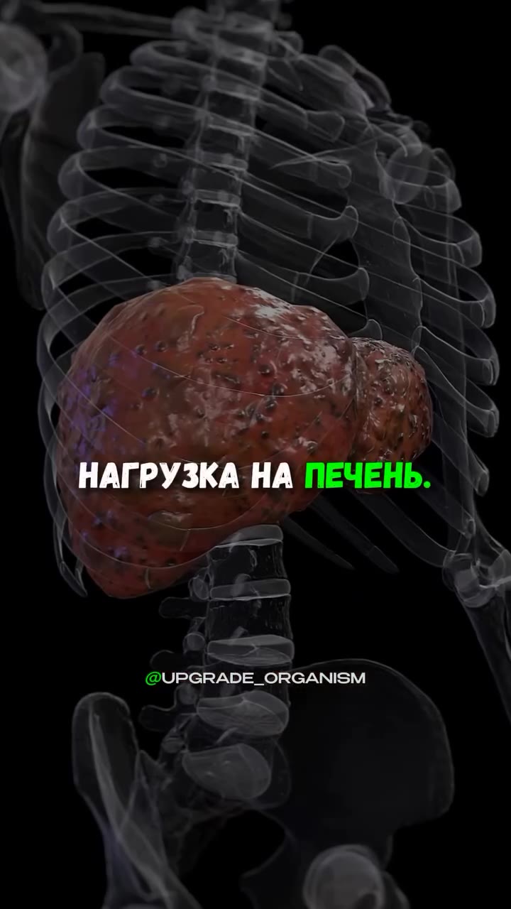 НАГРУЗКА НА ПЕЧЕНЬ. @UPGRADE_ORGANISM