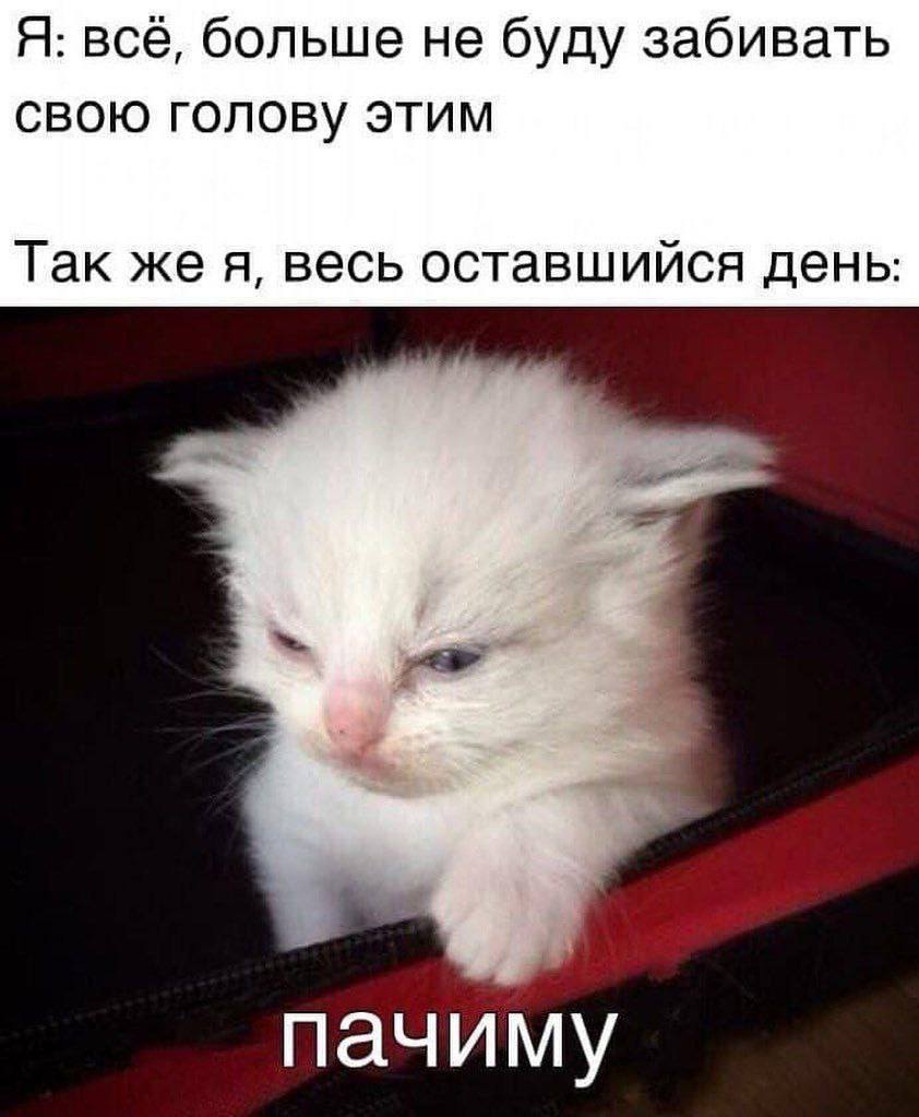 Я: всё, больше не буду забивать свою голову этим Так же я, весь оставшийся день пачиму