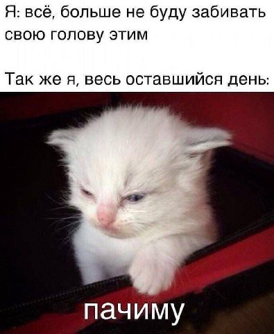 Я: всё, больше не буду забивать свою голову этим Так же я, весь оставшийся день пачиму