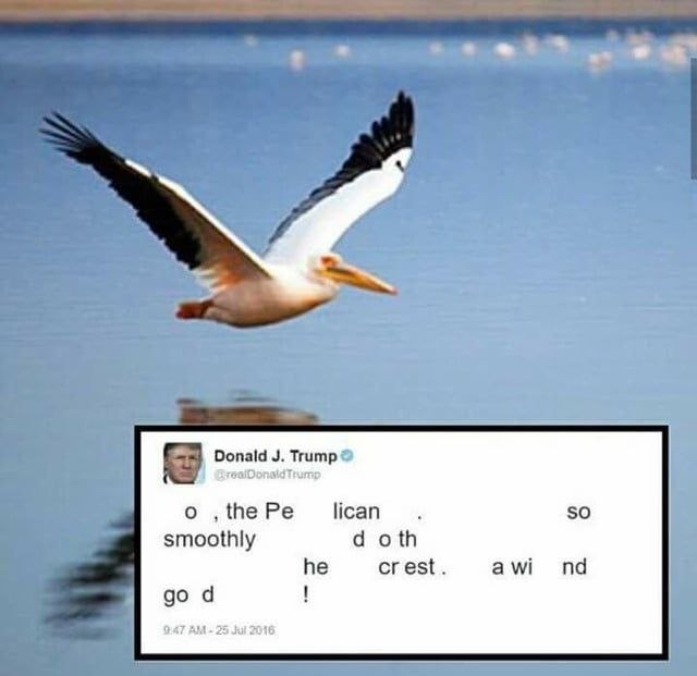 Donald Trump lican $0 о ШеРе smoothly oth he crest a 9:47 25 Jul 2016