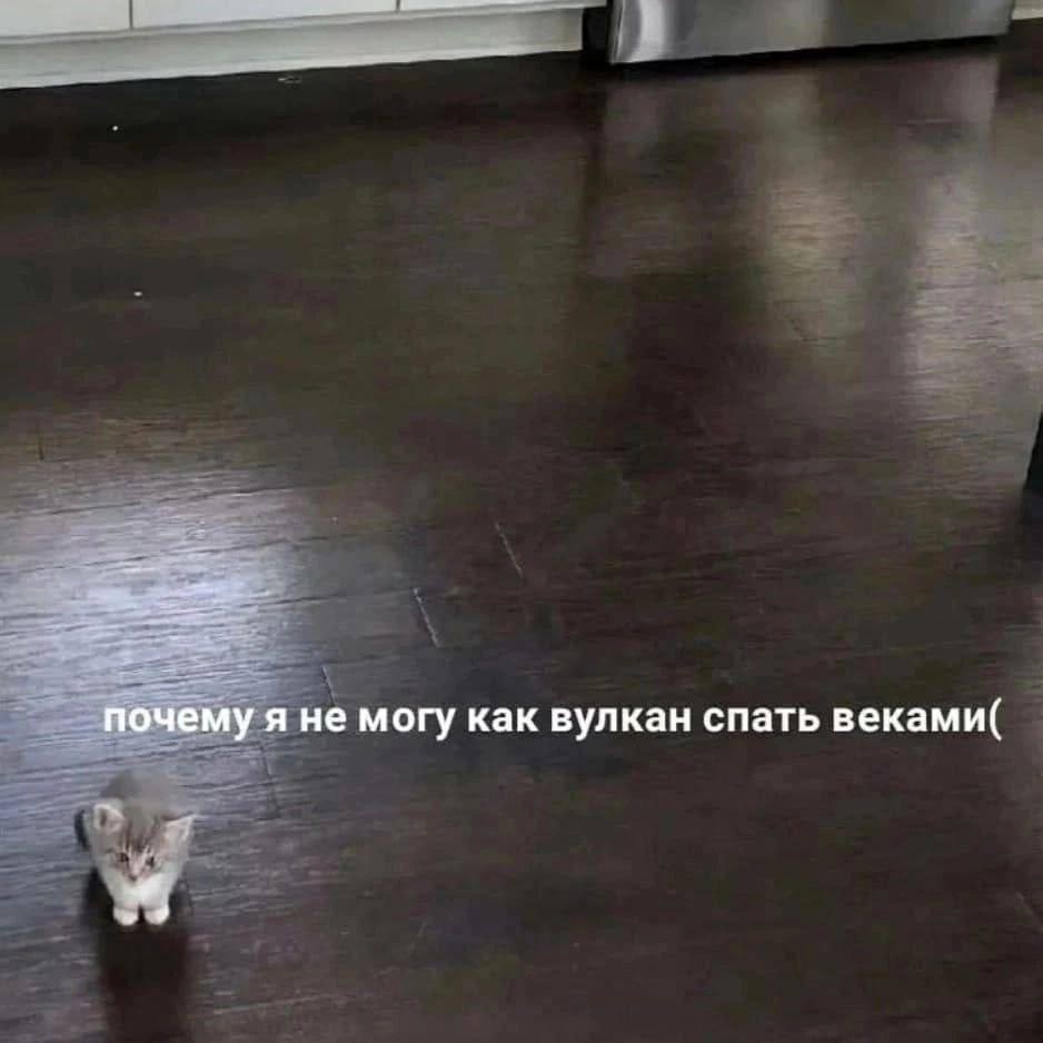 почему я не могу как вулкан спать веками( 4