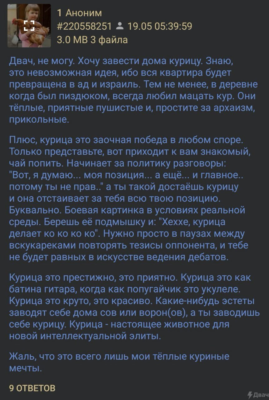 1 Аноним #220558251 19.05 05:39:59 3.0 3 файла Двач, не могу. Хочу завести дома курицу. Знаю, это невозможная идея, ибо вся квартира будет превращена в и израиль. Тем не менее, в деревне когда был пиз