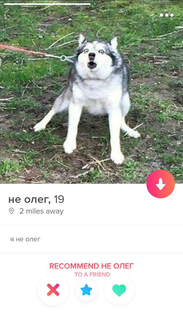 4 не олег, 19 2 away я не олег КЕСОММЕМО НЕ ОЛЕГ TO A FRIEND