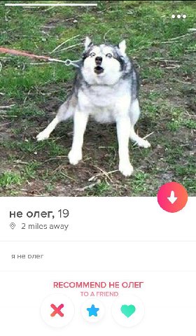 4 не олег, 19 2 away я не олег КЕСОММЕМО НЕ ОЛЕГ TO A FRIEND