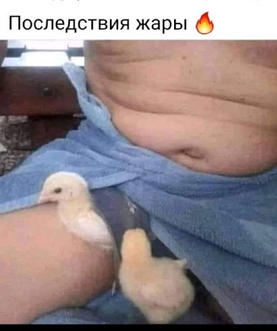 Последствия жары