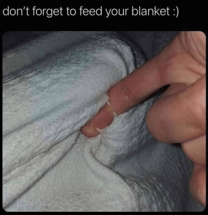 don't forget to feed your blanket