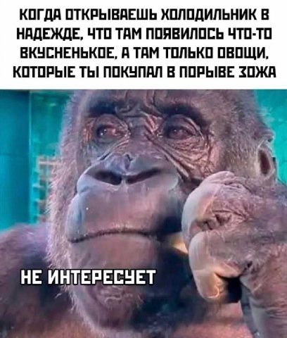 КОГДА ОТКРЫВАЕШЬ ХОЛОДИЛЬНИК НАДЕЖДЕ, ЧТО ТАМ ПОЯВИЛОСЬ ЧТО-ТО ВКУСНЕНЬКОЕ, А ТАМ ТОЛЬКО ОВОЩИ, КОТОРЫЕ ТЫ ПОКУПАЛ В ПОРЫВЕ ЗОЖА НЕ ИНТЕРЕСУЕТ