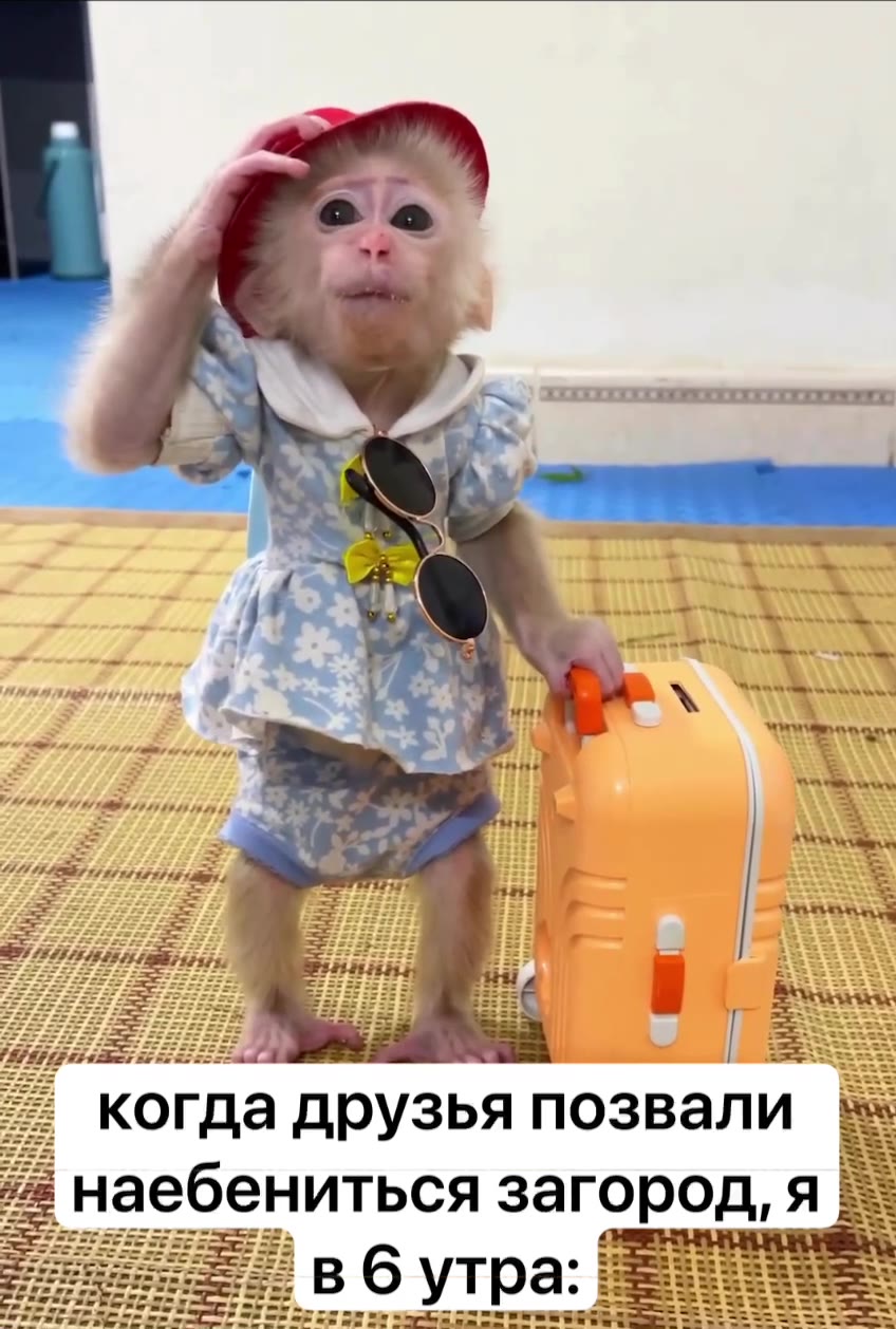 __ когда друзья позвали А _ наебениться загород, = \ “ P= ЕЖЕ ЖЖ КЕКЕКЕЧЕНЕ \ №. ЖХХЖЕКЕЕ