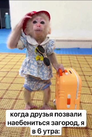 __ когда друзья позвали А _ наебениться загород, = \ “ P= ЕЖЕ ЖЖ КЕКЕКЕЧЕНЕ \ №. ЖХХЖЕКЕЕ