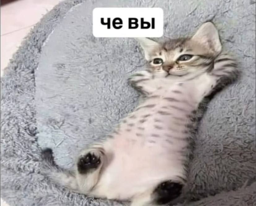 4 чевы 1