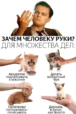 ЗАЧЕМ ЧЕЛОВЕКУ РУКИ? ДЛЯ МНОЖЕСТВА ДЕЛ Аккуратно елать подталкивать внезапныи к мисочке Приятново Держать поглаживать- почёсывать как золото В ках