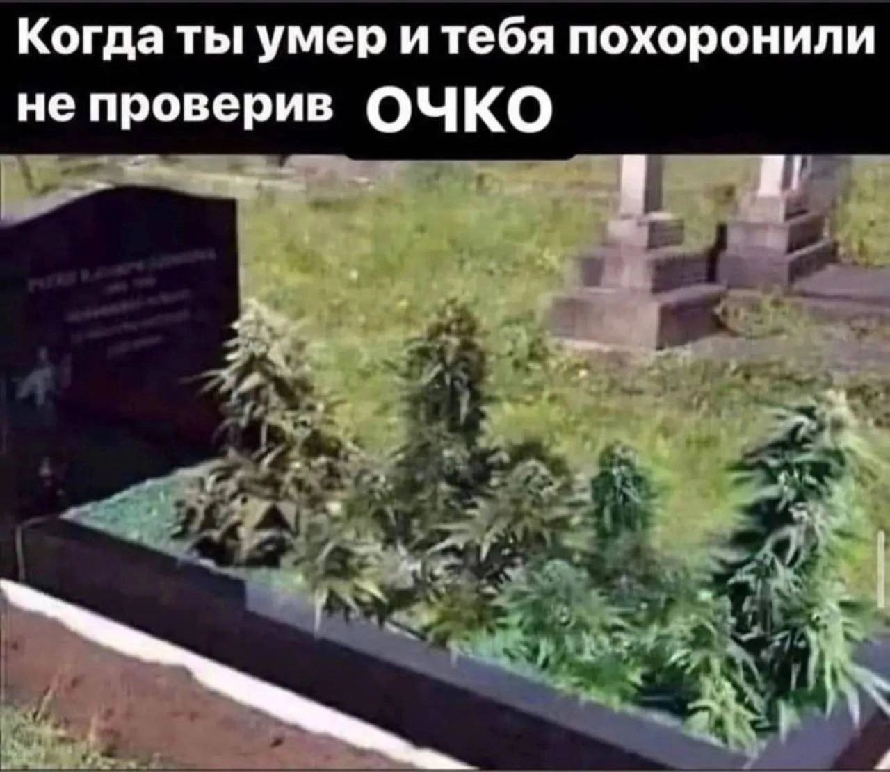 Когда ты умер и тебя похоронили не проверив ОЧКО у 4 4