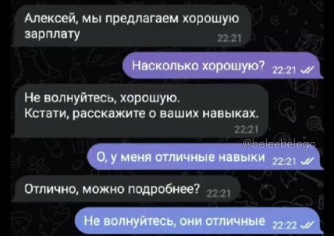 Алексей, мы предлагаем хорошую зарплату Насколько хорошую? 2221 Не волнуйтесь, хорошую. Кстати, расскажите о ваших навыках. О, у меня отличные навыки 49.91 Отлично, можно подробнее? Не волнуйтесь, они