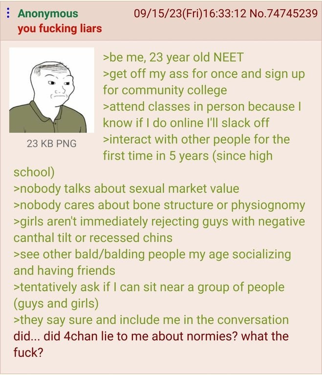 Anonymous 09/15/23(Fri)16:33:12 No.74745239 you fucking liars >be me, 23 year old NEET >get off my ass for once and sign up for community college >attend classes in person because know if online I'll 