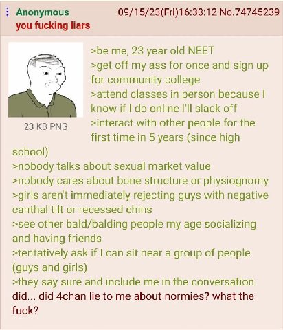 Anonymous 09/15/23(Fri)16:33:12 No.74745239 you fucking liars >be me, 23 year old NEET >get off my ass for once and sign up for community college >attend classes in person because know if online I'll 