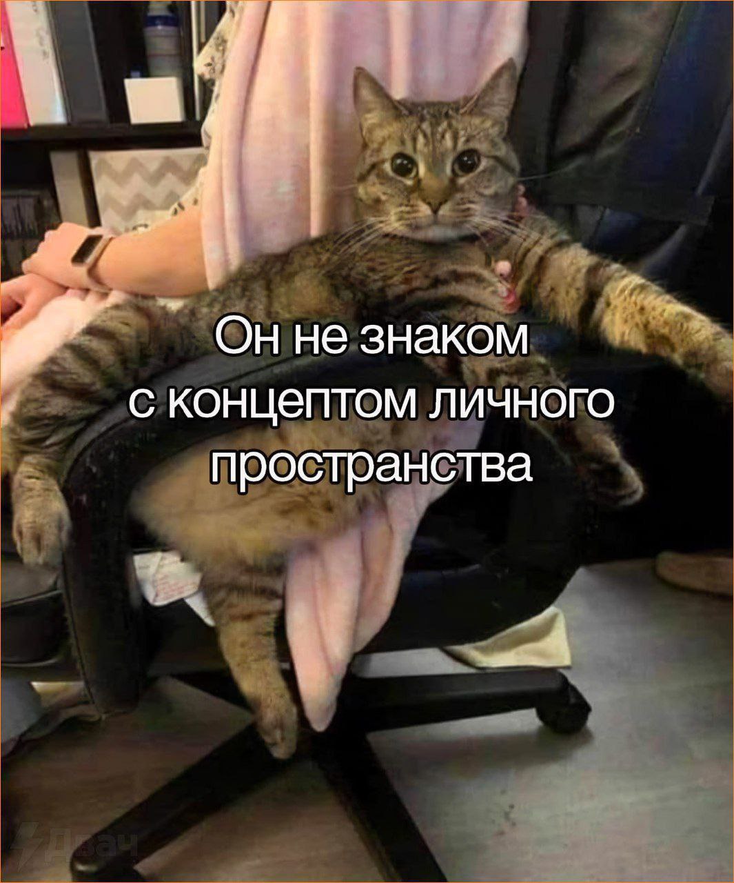 Оннезнаком с концептом личного пространства if