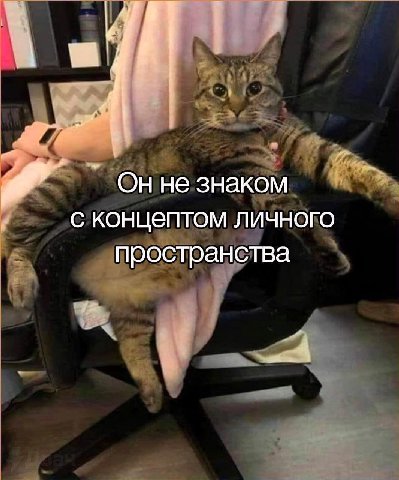 Оннезнаком с концептом личного пространства if