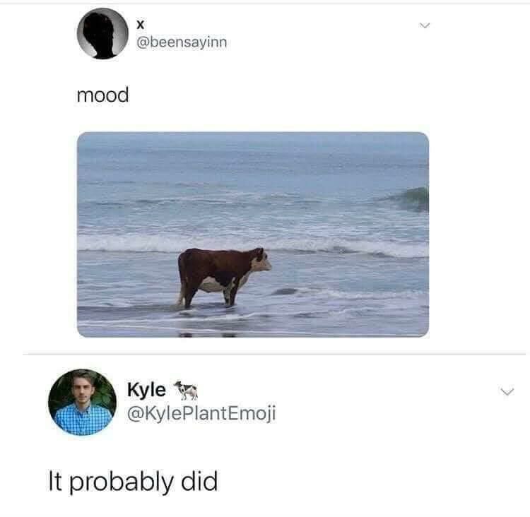 @beensayinn mood Kyle @KylePlantEmoji It probably did