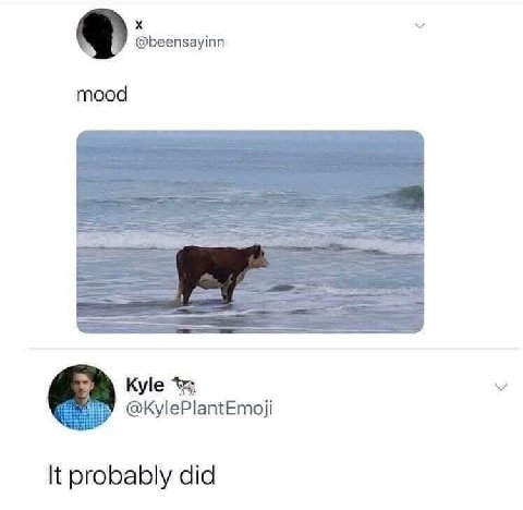 @beensayinn mood Kyle @KylePlantEmoji It probably did
