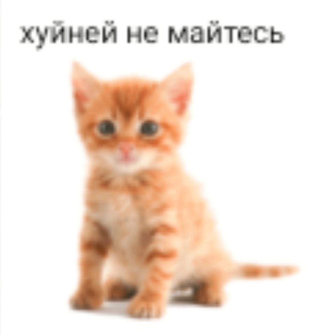 хуйней не майтесь