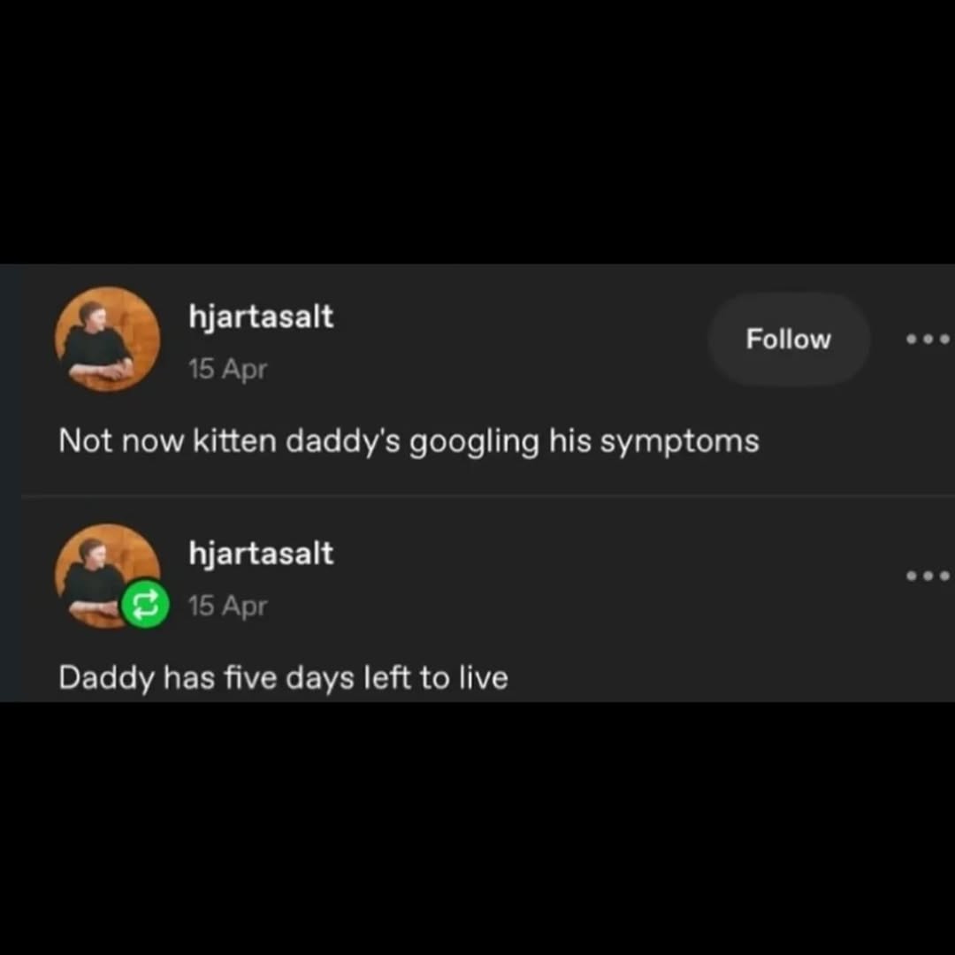 hjartasalt Follow 15 Арг Not now kitten daddy's googling his symptoms hjartasalt 15 Арг Daddy has five days left to live