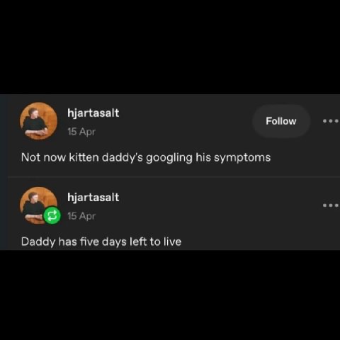 hjartasalt Follow 15 Арг Not now kitten daddy's googling his symptoms hjartasalt 15 Арг Daddy has five days left to live