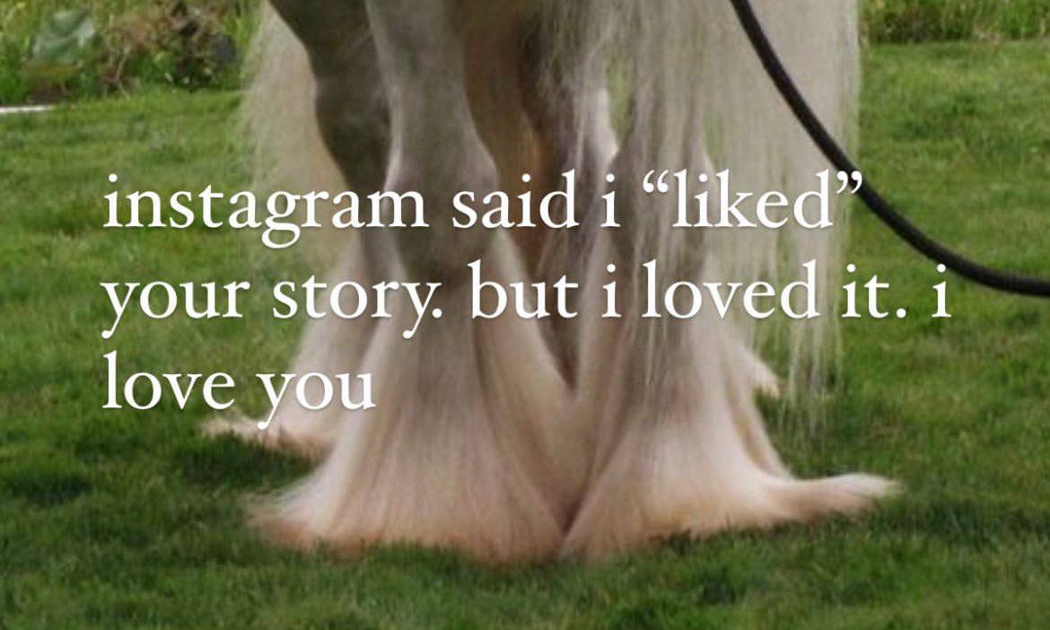 instagram said i “liked” your story. but i loved it. 1 love you